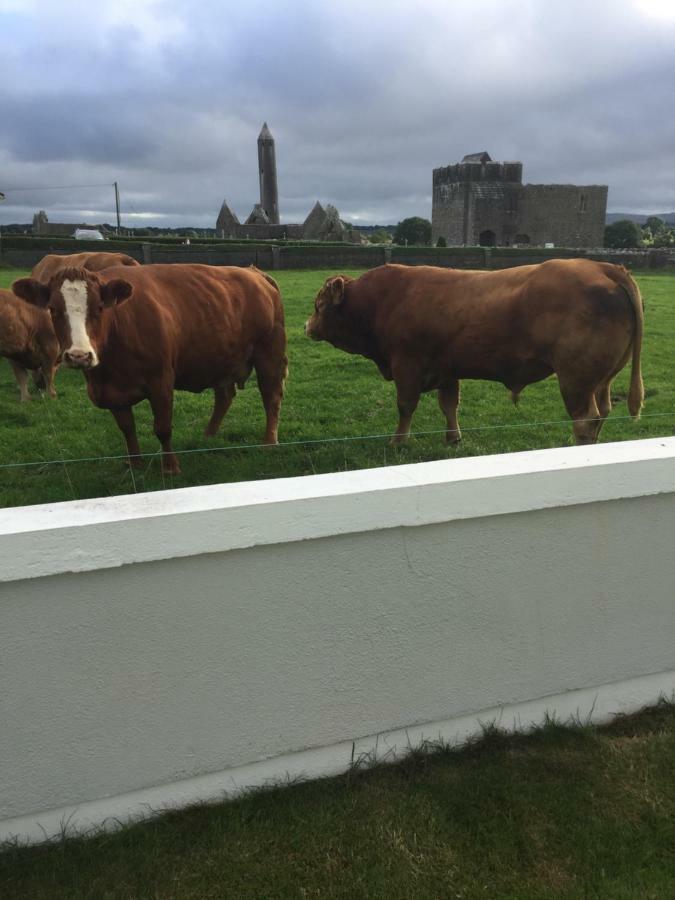 Naomh Colman B&B Gort Esterno foto